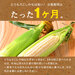 北海道 富良野産 とうもろこし ホワイトショコラ 2Lサイズ×16本 生で食べても甘い!【産地直送】