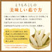 北海道 富良野産 とうもろこし ホワイトショコラ 2Lサイズ×16本 生で食べても甘い!【産地直送】