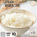【令和6年度産】【白米】 10kg  北海道産 お米 減農薬米 おぼろづき【送料無料】