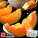 【予約】夕張メロン ご自宅向け品(糖度10%以上) 3.2kg(2玉)【訳あり品】【個選】【送料無料】