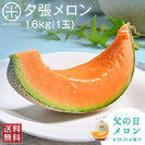 【父の日メロン】夕張メロン ご贈答向け品(糖度11%以上)1.6kg(1玉)【共撰優品】【送料無料】