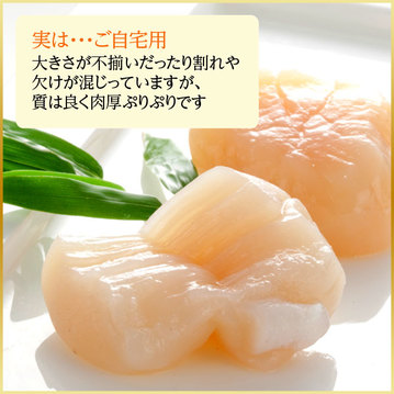 訳あり】北海道産 ホタテ貝柱(冷凍)300g ｜ ホワイトフードオンライン