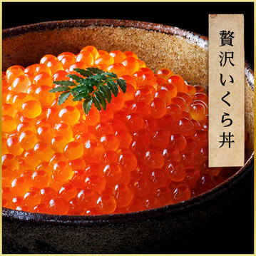 送料無料 北海道産いくら醤油漬け500g 甘口 最高級ブランド 日本のてっぺん 最北明田