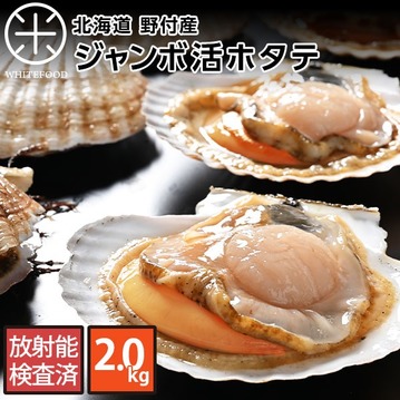 北海道 野付産 プレミアム ジャンボ 活ホタテ 約2.0kg(7枚前後)【送料