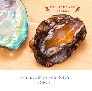 あわび 礼文・利尻島産 天然アワビ(凍結) Mサイズ×3個【送料無料