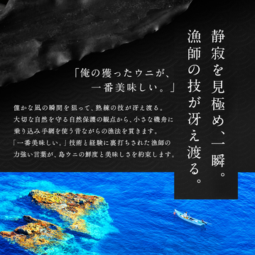 うに いくら 北海道 礼文・利尻島産 生エゾバフンウニ 80g+北海道 斜里