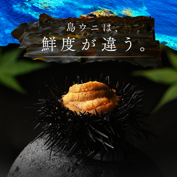 うに いくら 北海道 礼文・利尻島産 生エゾバフンウニ 80g+北海道 斜里