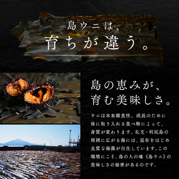 うに いくら 北海道 礼文・利尻島産 生エゾバフンウニ 80g+北海道 斜里