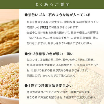 北海道産 令和6年産 ななつぼし 無洗米 白米 精米お米 5kg 2袋 北海道産 令和6年産 ななつぼし 無洗米 白米 精米 お米 5kg×2袋