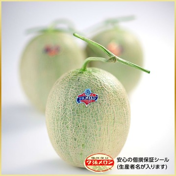 訳あり 北海道 夕張メロン 3.2kg(2玉詰) ご自宅用【送料無料