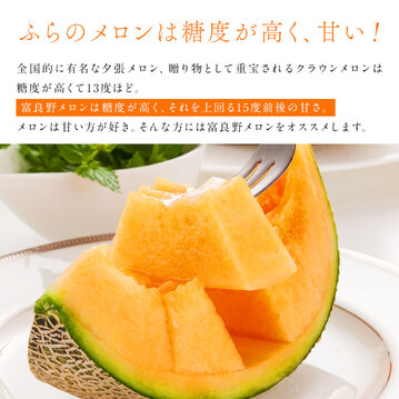 収穫次第お届け】富良野 メロン 4.0kg(2玉)秀品【送料無料