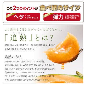 収穫次第お届け】富良野 メロン 4.0kg(2玉)秀品【送料無料