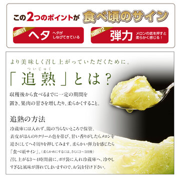 7月後半-8月前半お届け】 北海道 富良野 メロン(青肉) 2.0kg (1玉
