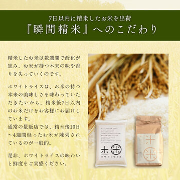 おぼろづき（精米済み）　10キロ おぼろづき 10kg」の人気商品一覧 | 安い商品を通販サイトから探す