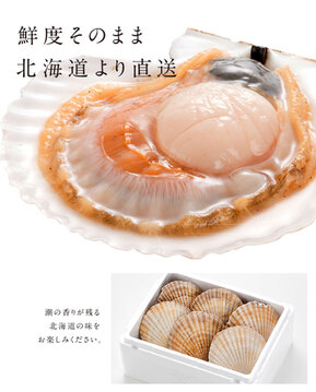 北海道 野付産 プレミアム ジャンボ 活ホタテ 約2.0kg(7枚前後)【送料