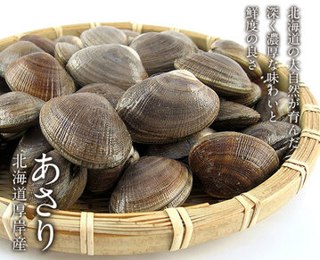 水揚げ次第お届け】北海道 純・厚岸産 ごろっと殻付 中サイズ あさり