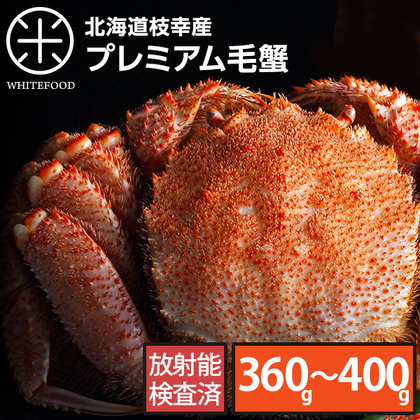 北海道枝幸産 プレミアム毛蟹 360g～400g前後