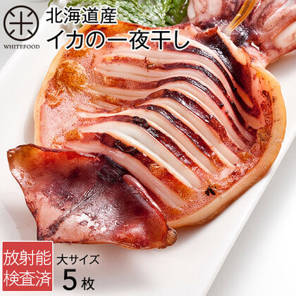 イカの一夜干し5枚 (大サイズ)北海道産