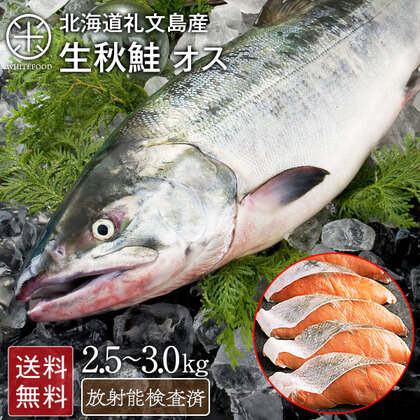 北海道 礼文島産 生 秋鮭 オス 2.5〜3.0kg前後 (姿)【送料無料】