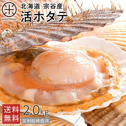 北海道 宗谷産 活ホタテ 2.0kg【送料無料】