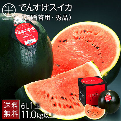【秀品】スイカ ジャンボでんすけすいか 北海道 当麻産 6L　11kg以上×1玉【送料無料】【贈答用】【産地直送】