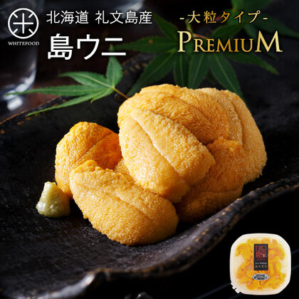 【先行予約】プレミアム 生キタムラサキウニ 大粒サイズ 90g 日本最北の島 北海道 礼文・利尻島産【放射能検査済】