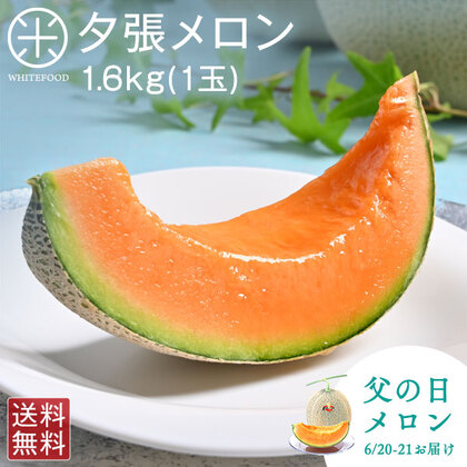 【父の日メロン】夕張メロン ご贈答向け品(糖度11%以上)1.6kg(1玉)【共撰優品】【送料無料】