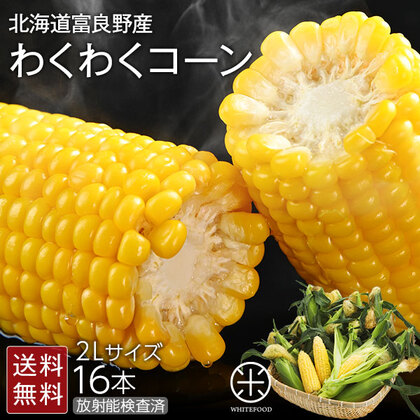 北海道産 富良野産 とうもろこし わくわくコーン 2Lサイズ×16本 とにかく甘い!【産地直送】