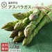 アスパラ 北海道 富良野産 朝もぎハウスグリーンアスパラ 2.0kg(L〜2L混サイズ) 【送料無料】