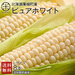 北海道　南幌町産 とうもろこし ピュアホワイト　Lサイズ(380gアップ)8本 生で食べても甘い!【産地直送】