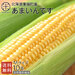 北海道産 とうもろこし あまいんです　M(360g前後) 10本(3.6kg前後) とにかく甘い!【産地直送】