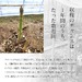 アスパラ 北海道 富良野産 朝もぎハウスグリーンアスパラ 2.0kg(L〜2L混サイズ) 【送料無料】