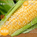 北海道産 とうもろこし あまいんです　M(360g前後) 10本(3.6kg前後) とにかく甘い!【産地直送】