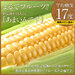北海道産 とうもろこし あまいんです　L(380gアップ) 8本(3kg以上) とにかく甘い!【産地直送】