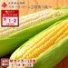 【9月1日～2日お届け】とうもろこし 北海道 南幌町産 2色食べ比べセット Mサイズ各5本 あまいんです ピュアホワイト【送料無料】【産地直送】
