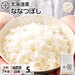 【令和7年度産】【白米】北海道産 ホワイトライス ななつぼし　5kg