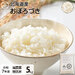 【令和7年度産】【無洗米】 5kg  北海道産 お米 減農薬米 おぼろづき【送料無料】