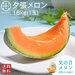 【父の日メロン】夕張メロン ご贈答向け品(糖度11%以上)1.6kg(1玉)【共撰優品】【送料無料】