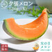 【父の日メロン】夕張メロン ご贈答向け品(糖度11%以上)1.3kg(1玉)【共撰優品】【送料無料】