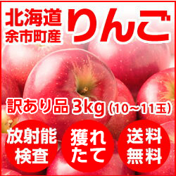 北海道余市産 りんご(訳あり品・品種:ふじ) 3kg【送料無料】