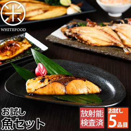 【広告の品】【天然物】【初回購入者限定】お試し☆魚セット【ホッ...